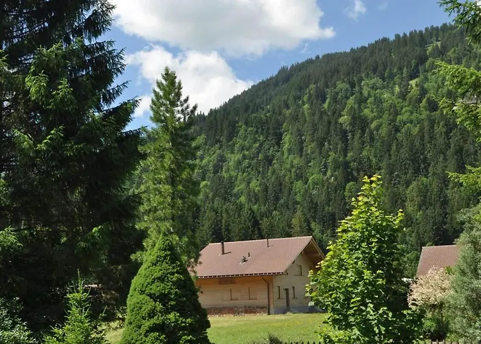 Appartement Andrea By Interhome Lenk im Simmental